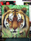 tigre della malesia